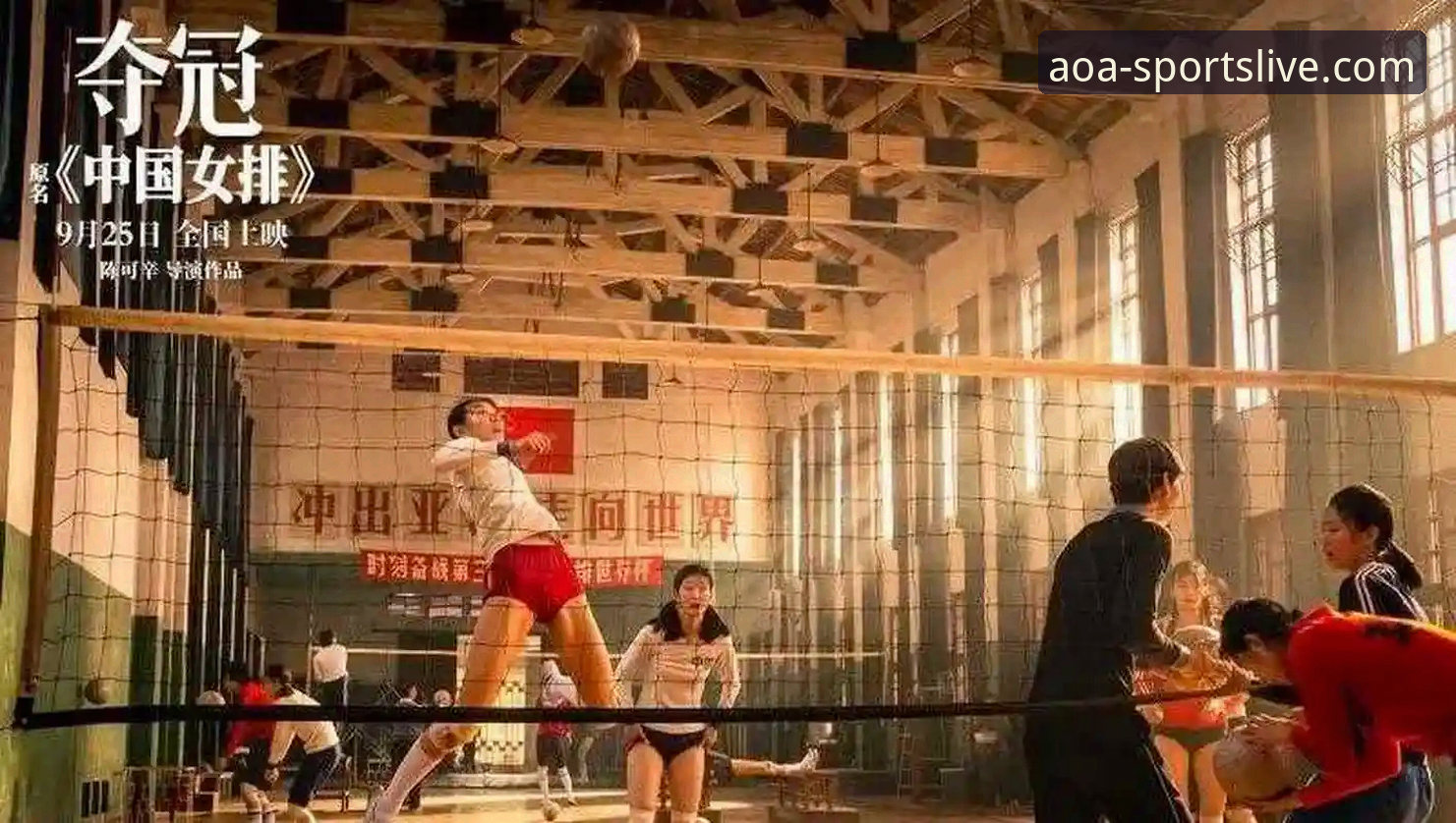 AOA体育平台功能详解：5个核心模块与3大技术优势实测分析